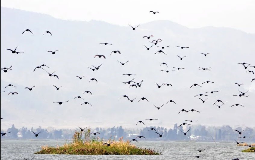 Thinungei Bird Sanctuary, Bishnupur, Manipur - Vushii.com Thinungei Bird Sanctuary, Bishnupur, Manipur - Vushii.com